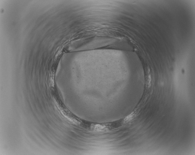 X0000051860180200507151830