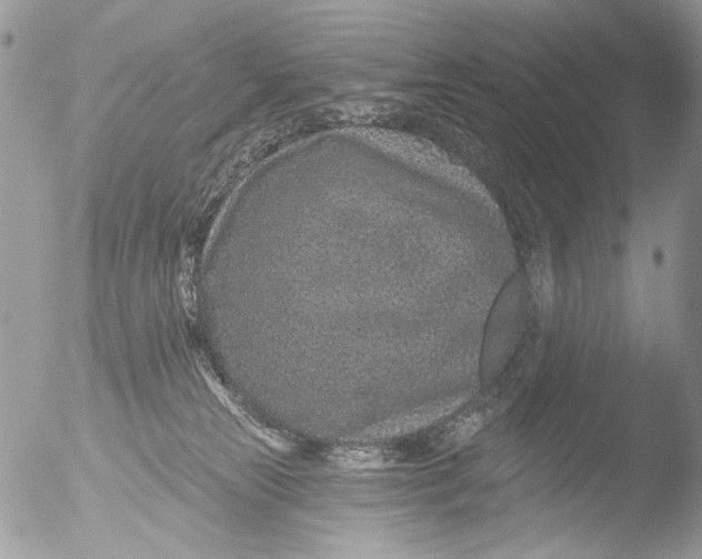 X0000051860181200507151830