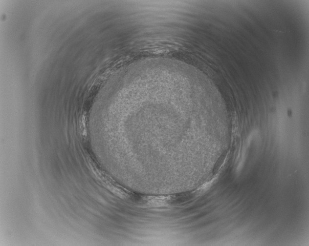 X0000051860182200507151830