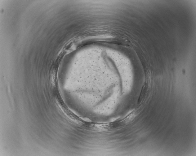 X0000051860188200507151830