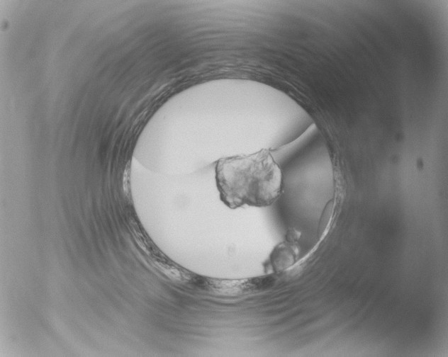 X0000051860191200507151830