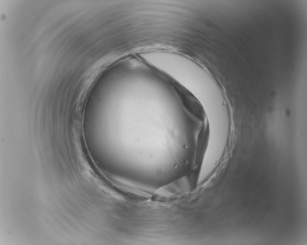 X0000051860193200507151829