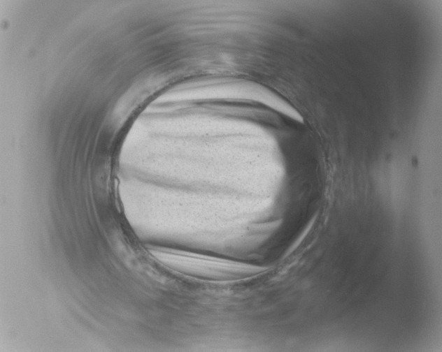 X0000051860194200507151829