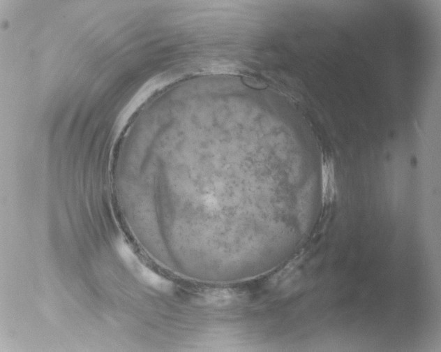 X0000051860195200507151829