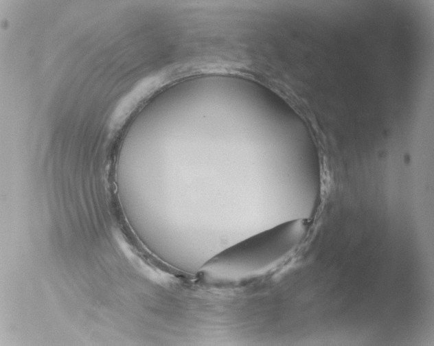 X0000051860197200507151829