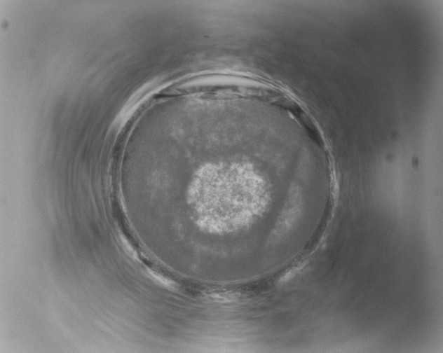 X0000051860199200507151829