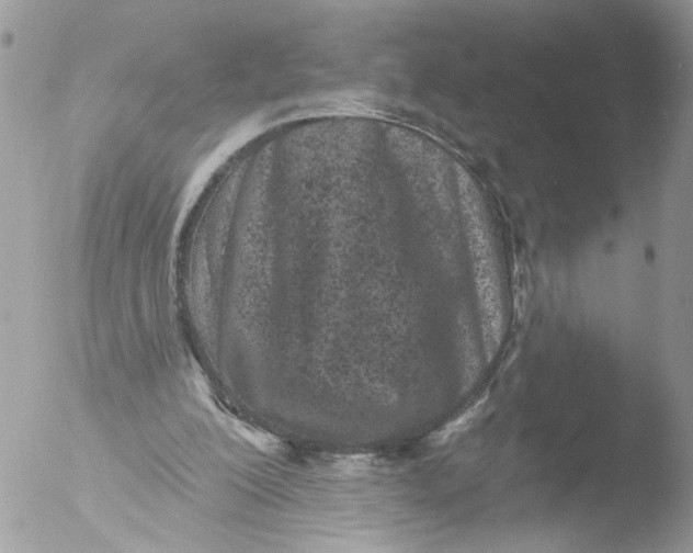 X0000051860200200507151829