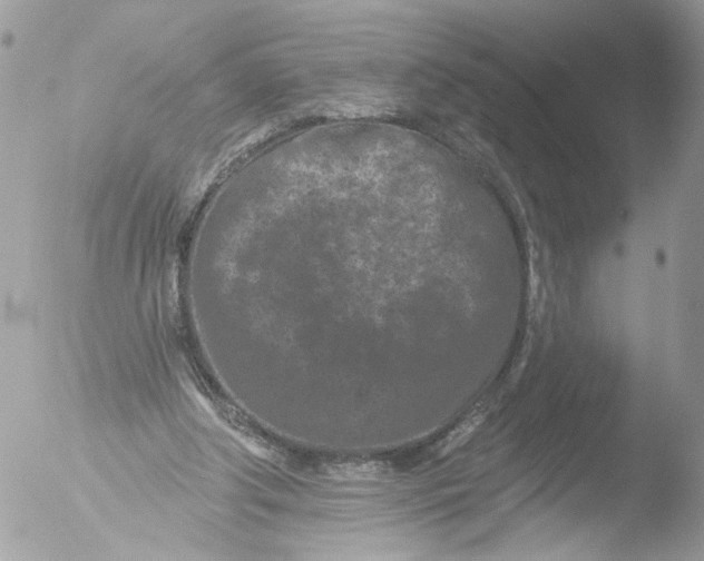 X0000051860202200507151829