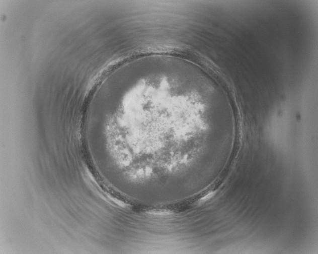 X0000051860203200507151829