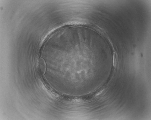 X0000051860204200507151829