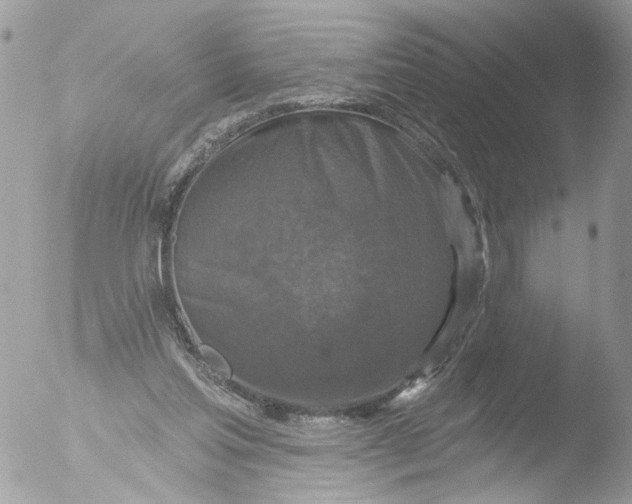 X0000051860205200507151829