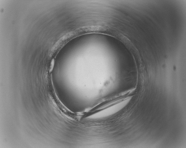 X0000051860207200507151829