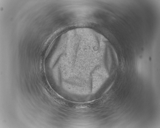 X0000051860208200507151829