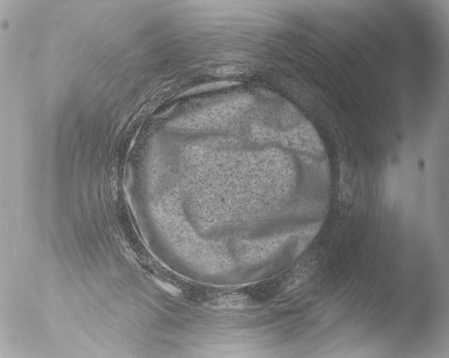 X0000051860210200507151829