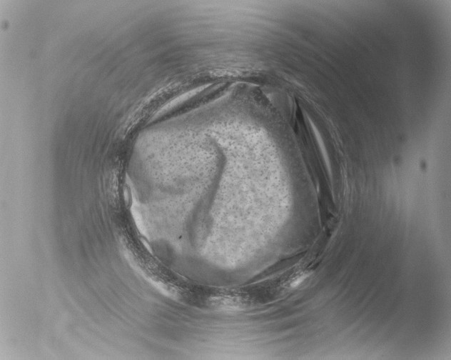 X0000051860211200507151829