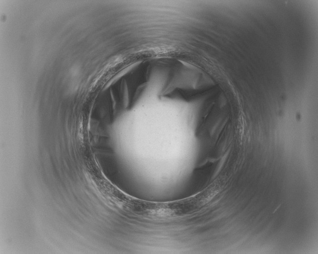 X0000051860212200507151829