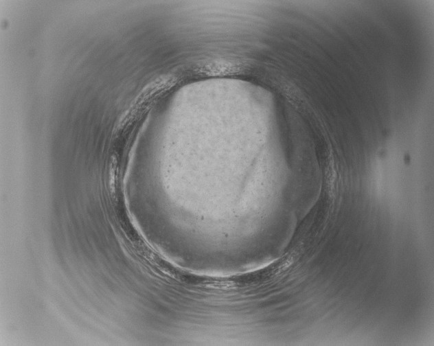 X0000051860214200507151829