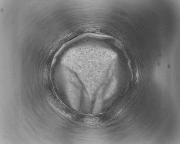 X0000051860215200507151829