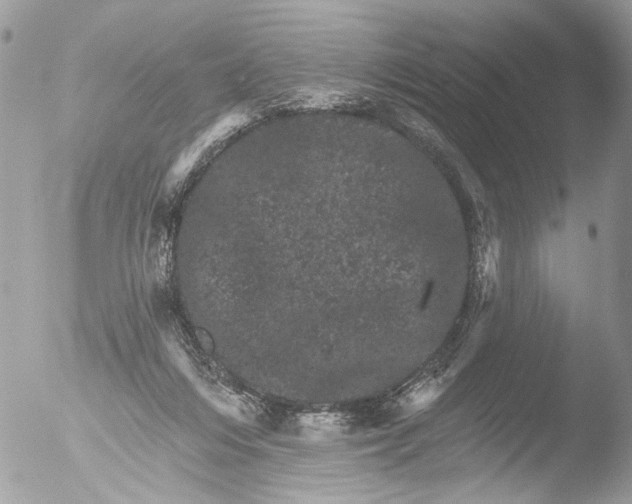 X0000051860216200507151829