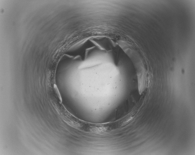 X0000051860217200507151829