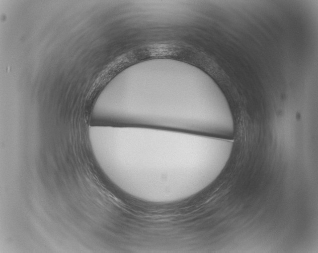 X0000051860219200507151829