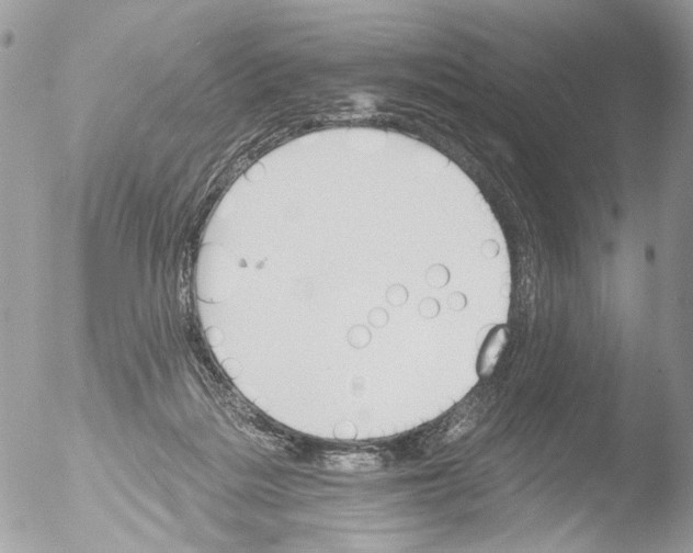 X0000051860220200507151829