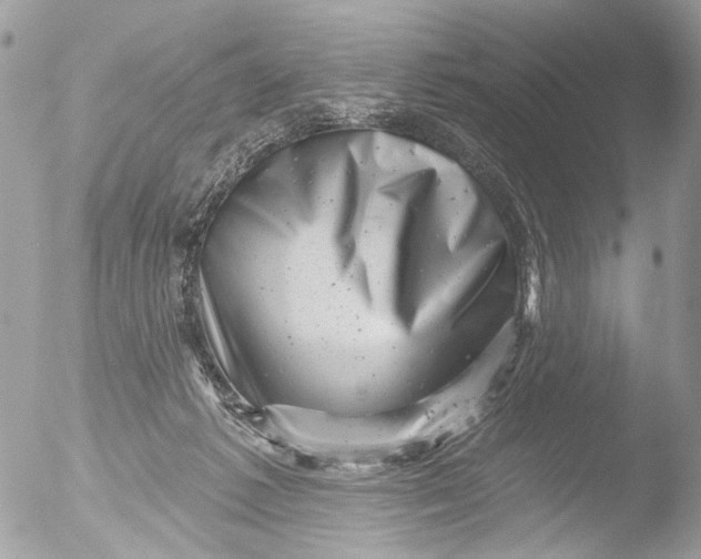 X0000051860221200507151829