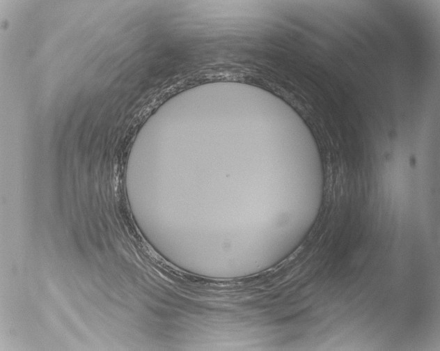 X0000051860223200507151829