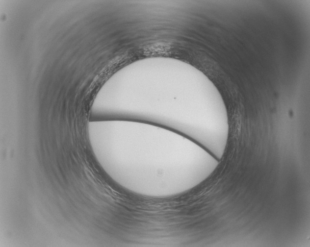 X0000051860224200507151829