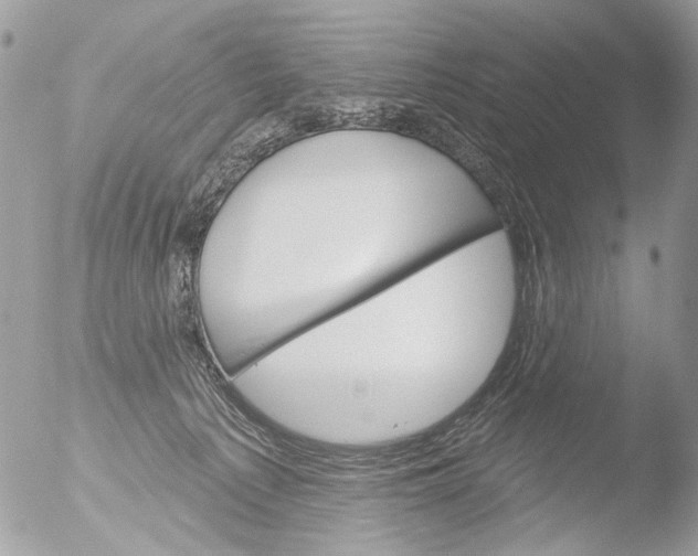 X0000051860225200507151829