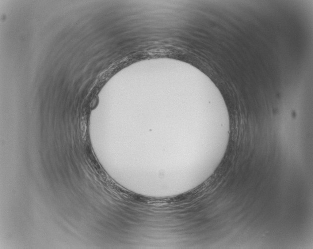 X0000051860228200507151828