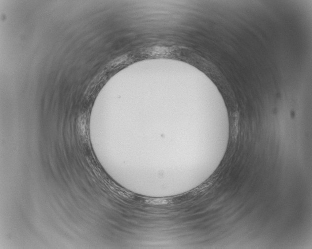 X0000051860230200507151828