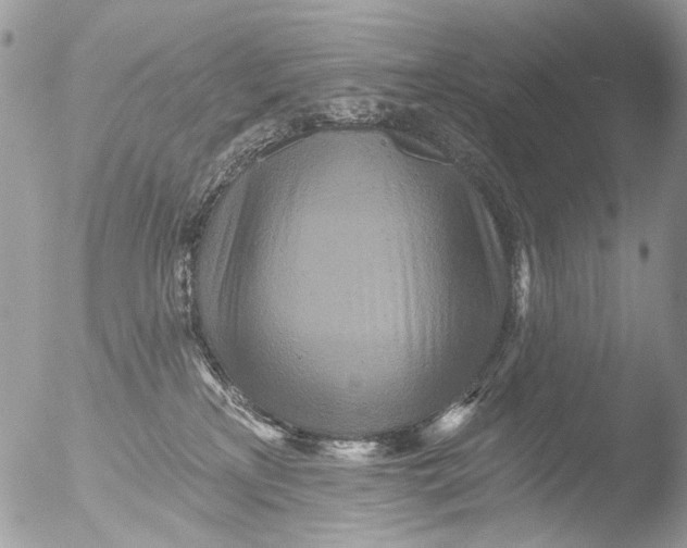 X0000051860233200507151828