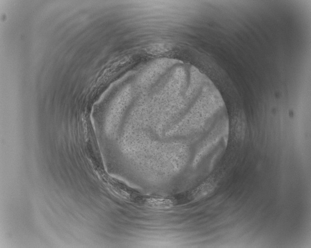 X0000051860234200507151828