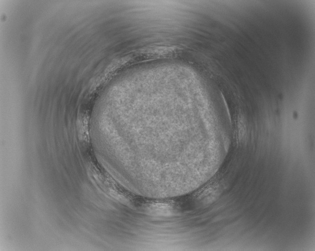 X0000051860236200507151828