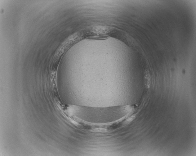 X0000051860237200507151828