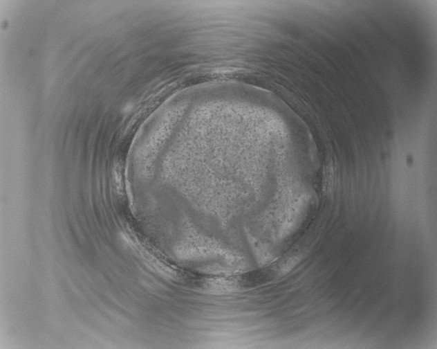 X0000051860238200507151828