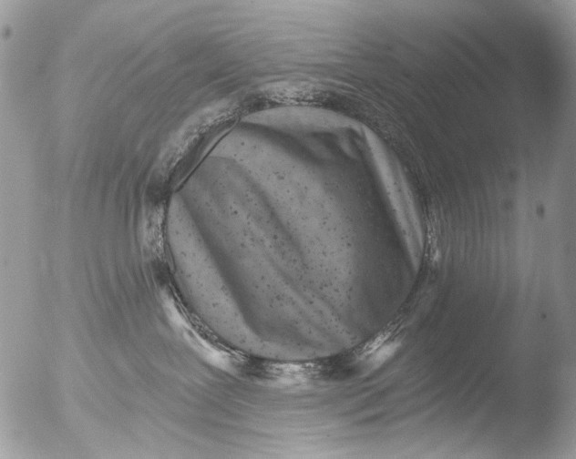 X0000051860239200507151828