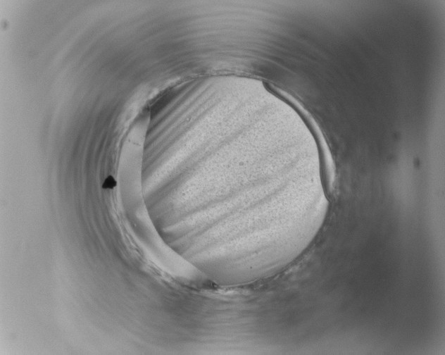 X0000051860241200507151827