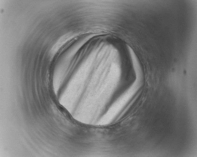 X0000051860242200507151828