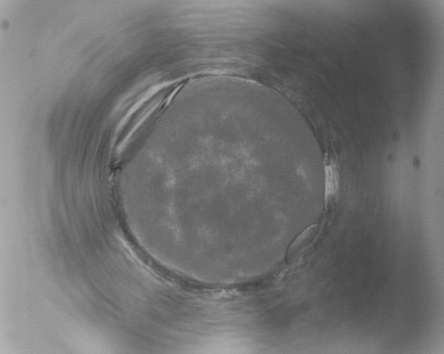 X0000051860243200507151828