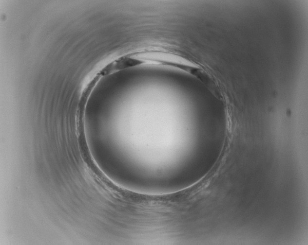 X0000051860244200507151828