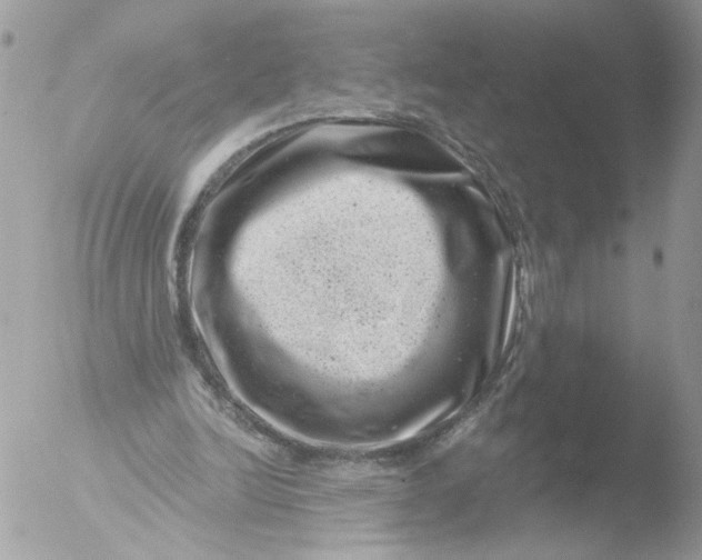 X0000051860246200507151828