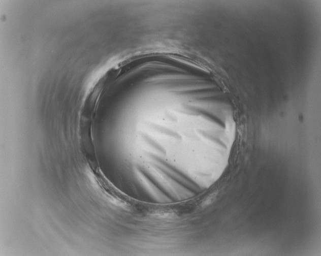 X0000051860248200507151828