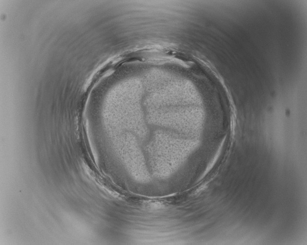 X0000051860249200507151828