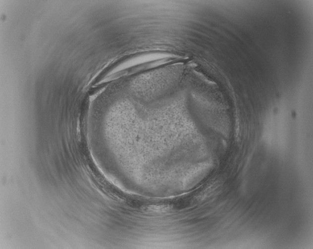 X0000051860251200507151828