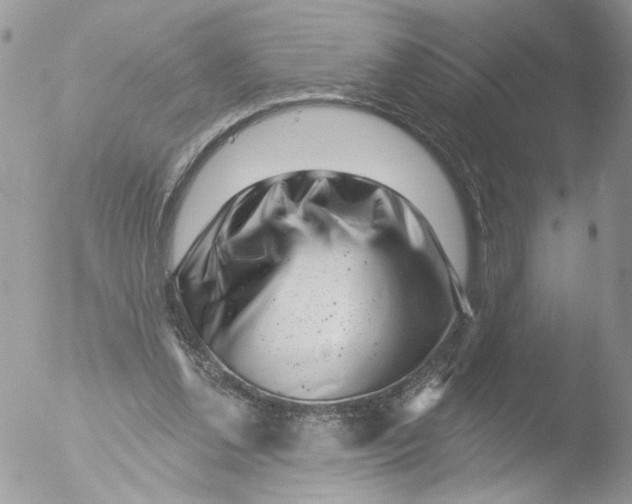 X0000051860252200507151828