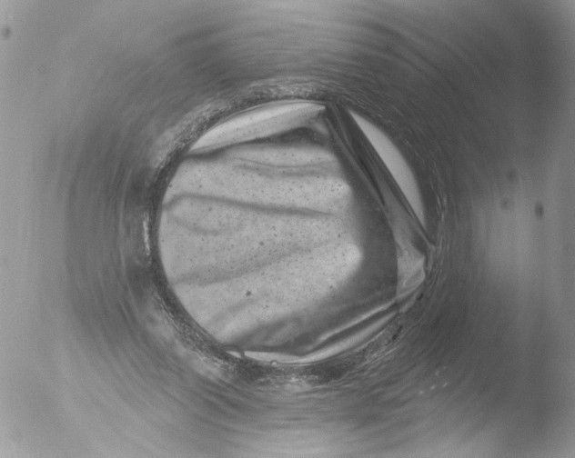 X0000051860254200507151828