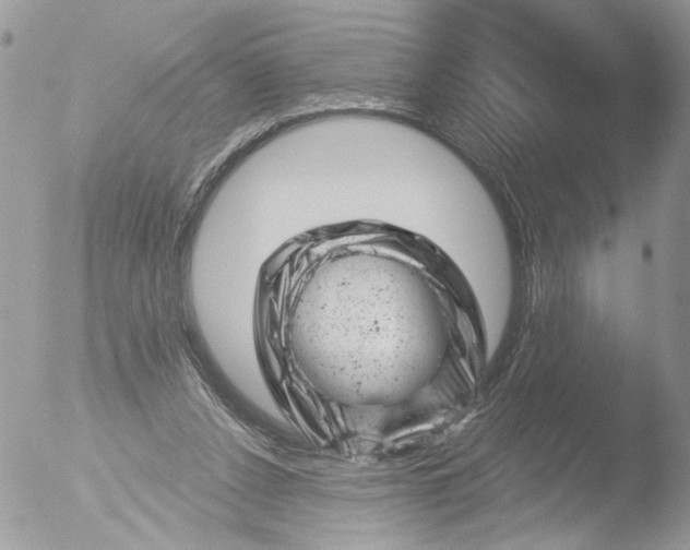 X0000051860256200507151828