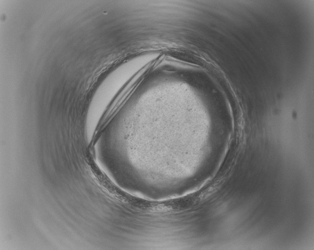 X0000051860257200507151828